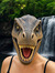 Winosaur