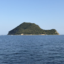 Sonik