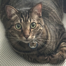 Sam
