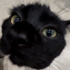 nat