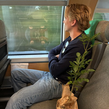 Frans Asp