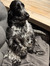 Eline W...