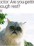 Shane S...