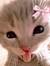 rawan