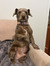 Kylee C...