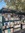 Ainsley...