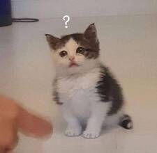 Ro
