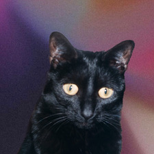 Mel