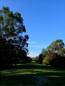 Tara