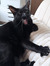 Bonnie -