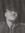 Albin