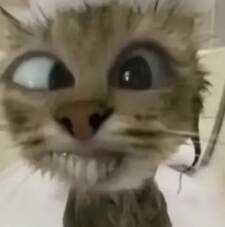 zuzaaa