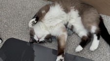 Tina
