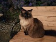 Katie