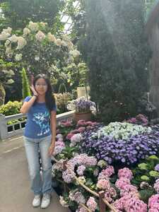 gian  chee han