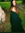 member photo member photo