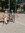 member photo member photo