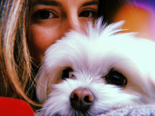 averi olive