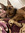 member photo member photo