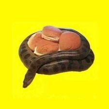ліда лісова