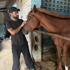 Udit