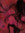 Rose ᛉ