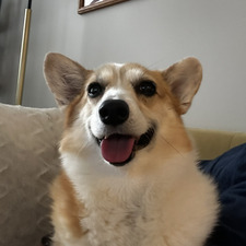 kevy