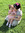 member photo member photo
