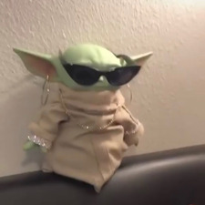 Lizard