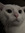 Pamela Jacinto