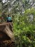 Sujit