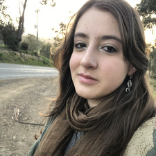 Daisy D