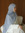 Annisa ...