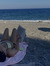 celia ˚...