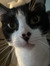 kenzy