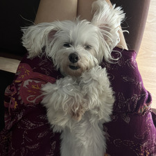 soniaaaaaa