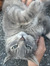 Matilda