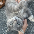 Matilda