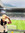 N Y 