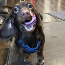 Chloe