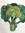 Broccoli I Love