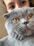 ece