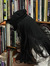 utreads