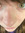 Adelyn