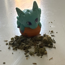 Kariott