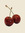 ‎ . ݁⋆ ۶ৎ ݁˖ . ݁ kitty ‎ . ݁⋆ ۶ৎ ݁˖ . ݁