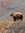 Indigo bear 