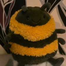 BeeAmongstThePages