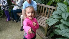 Soph