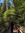 marble
